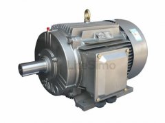 低壓交流三相異步電動(dòng)機(jī)